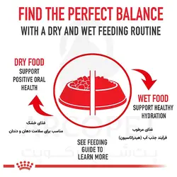 غذای خشک گربه رویال کنین مدل فعالیت معمولی Regular Fit