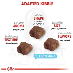 غذای خشک گربه رویال کنین مدل مادر و بچه گربه Mother &amp; Baby