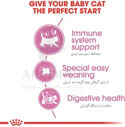 غذای خشک گربه رویال کنین مدل مادر و بچه گربه Mother &amp; Baby