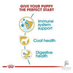 غذای خشک توله سگ یورکشایر تریر رویال کنین Yorkshire Terrier