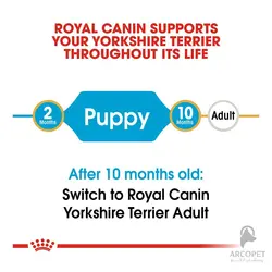 غذای خشک توله سگ یورکشایر تریر رویال کنین Yorkshire Terrier