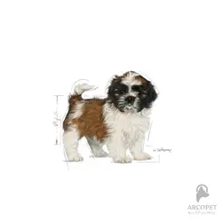 غذای خشک توله سگ نژاد شیتزو رویال کنین ShihTzu Puppy
