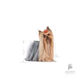 غذای خشک سگ بالغ نژاد یورکشایر رویال کنین Yorkshire Terrier Adult