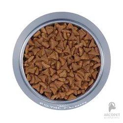 غذای خشک گربه رویال کنین مدل هیربال Hairball