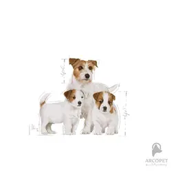 کنسرو استارتر Mother and Baby توله سگ و مادر رویال کنین 195 گرمی