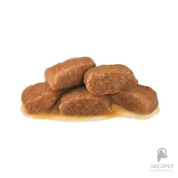 پوچ گربه رویال کنین مدل Gastrointestinal - رفع مشکلات گوارشی 85 گرمی