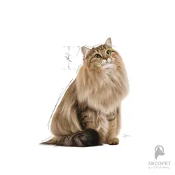 پوچ گربه هیربال Hairball Care رویال کنین 85 گرمی