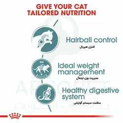 پوچ گربه هیربال Hairball Care رویال کنین 85 گرمی