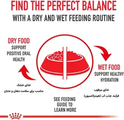 پوچ گربه هیربال Hairball Care رویال کنین 85 گرمی