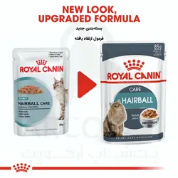 پوچ گربه هیربال Hairball Care رویال کنین 85 گرمی