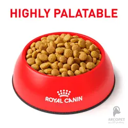 غذای خشک گربه مدل گاسترو اینتستینال رویال کنین Gastrointestinal