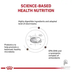 غذای خشک گربه مدل گاسترو اینتستینال رویال کنین Gastrointestinal