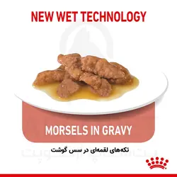 پوچ گربه عقیم شده رویال کنین مدل Indoor Sterilised - در خانه 85 گرمی