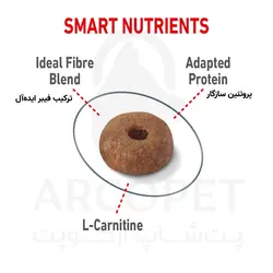 غذای خشک گربه رویال کنین مدل رژیمی Light Weight