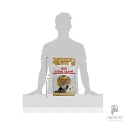 غذای خشک گربه بالغ پرشین رویال کنین Persian Adult