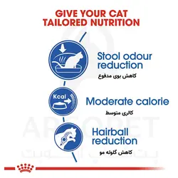 غذای خشک گربه ایندور بالغ رویال کنین - داخل خانه Indoor