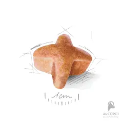 غذای خشک سگ بالغ رویال کنین نژاد ژرمن شپرد German Shepherd