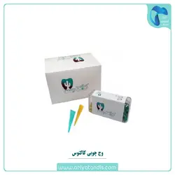وج چوبی کاکتوس