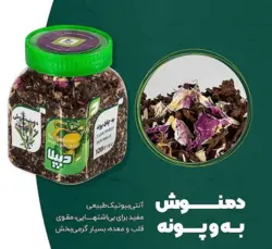 دمنوش به پونه دیپلا 120 گرمی