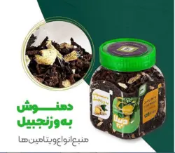دمنوش به زنجبیل دیپلا 120 گرمی