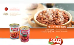 کنسرو لوبیا چیتی با قارچ چینود