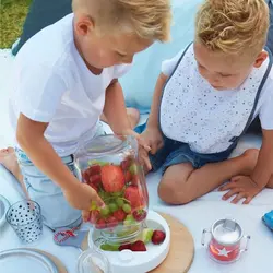 بشقاب گرم نگهدارنده غذا Bebejou Hot water plate