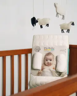 تشک غلت گیر آنتی رفلاکس نوزاد دی روحه Die Ruhe