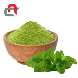 اسانس پودری نعنا - فروشگاه اینترنتی مواد شیمیایی