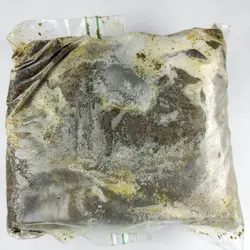 سبزی ترش واش