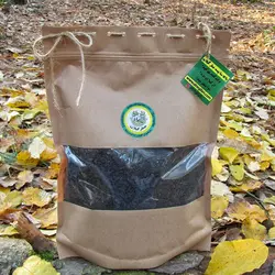 چای زرین (ساچمه ای) بهاره 1401 لاهیجان (ارتفاعات دیلمان)