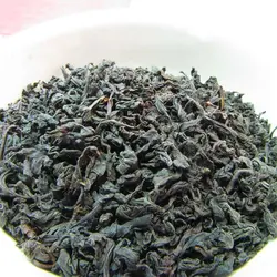 چای زرین (ساچمه ای) بهاره 1401 لاهیجان (ارتفاعات دیلمان)