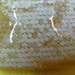 عسل با موم بهارنارنج (عسل مرکبات)