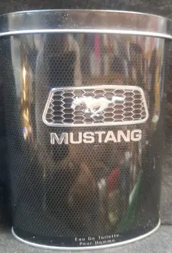 FORD MUSTANG  First American Brands 100 ml eau de toilette men-عطر ادکلن فورد موستانگ  فرست آمریکن  برندز 100 میل ادوتویلت مردانه