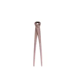 گاز انبر 10 اینچ واستر