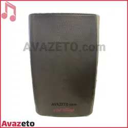 بلندگو دیواری فونیکس Phoenix PH-228T