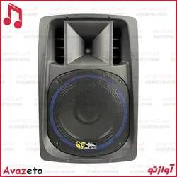 اکو همراه 12 اینچ برین صوت مدل Barin-3695