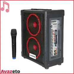اکو همراه اکو پارس ECHOPARS PA-2906 MIC