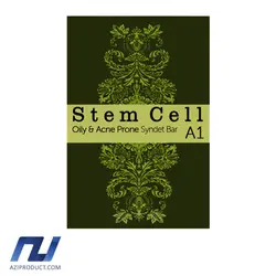 پن استم سل مدل Oily And AcneProne وزن 100 گرم