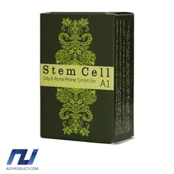 پن استم سل مدل Oily And AcneProne وزن 100 گرم