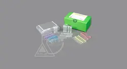 مشخصات، قیمت و خرید کیت تشخیصHBV-شرکت Bioneer