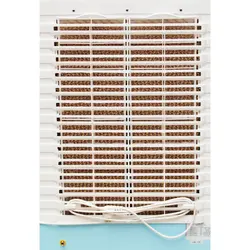 کولر آبی سلولزی مدل پرتابل اینترنشنال آنیل TP-9000