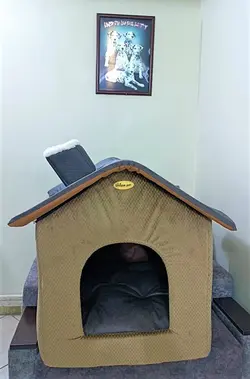 جای خواب (کلبه) سگ و گربه یونیک پت unique pet