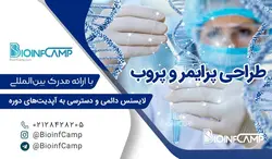 آموزش طراحی پرایمر و پروب