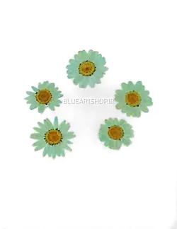 گل خشک بابونه سبز ابی روشن کد3470