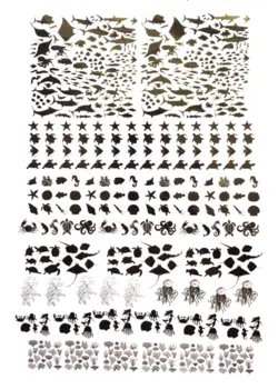 طلق ترنسپرنت دریا و ماهی