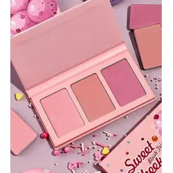 پالت رژگونه شیگلم