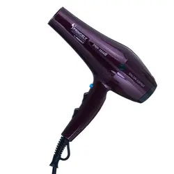 سشوار پرینسلی مدل PR-250