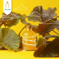 بطری شیشه‌ای ویال کوچک با درب چوب پنبه‌ای | 50 سی‌سی | بسته 122 تایی