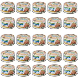 کنسرو ماهی تون مکنزی در روغن گیاهی – 180 گرم 24 عددی