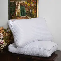 بالش طبی چیداری مدل چیکا پلاس 1400 گرم بسته 2 عددی